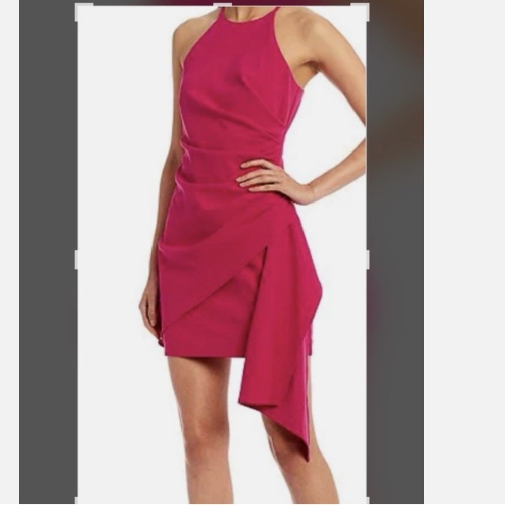Badgley Mischka Fuchsia Dress